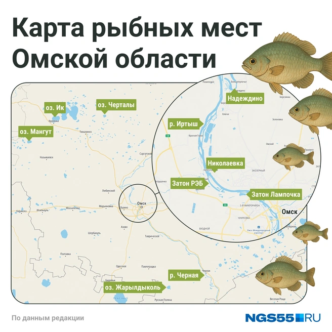 Мы нашли 10 мест, где рыбу находят чаще всего | Источник: Мария Романова / Городские медиа