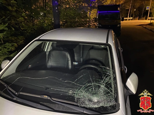 «Солярис» отбросил подростка под колеса ГАЗа в Отрадном | Источник: ГУ МВД по Петербургу и Ленобласти