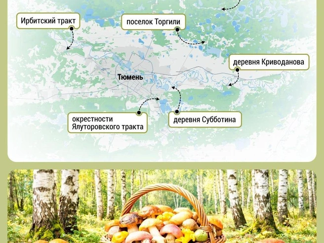 Источник: Дмитрий Гладышев / 72.RU
