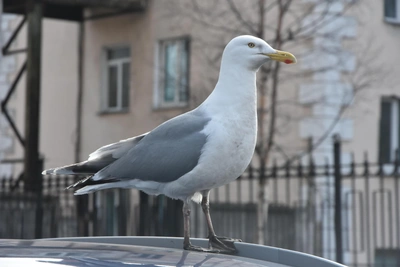 В Заполярье во вторник ожидается потепление до +13°C
