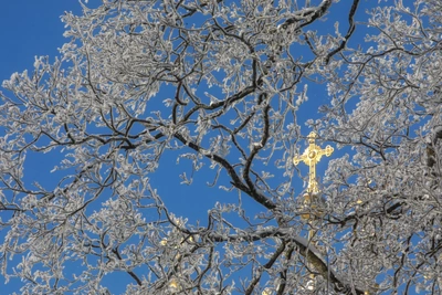 Почему 7 декабря запрещено чинить обувь?