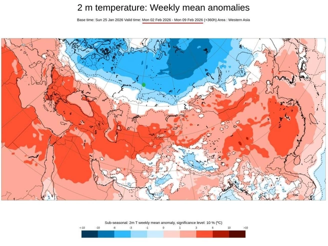 Со 2 по 9 февраля ожидаются сильные морозы. | Источник: ECMWF