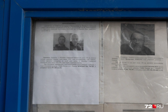 Источник: Ирина Шарова / 72.RU