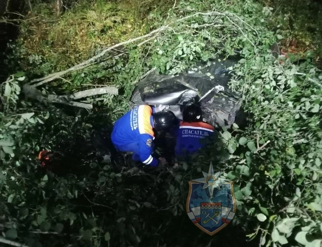 Кроссовер впечатался в дерево на трассе в Ленобласти. Сильно досталось ребенку | Источник: Аварийно-спасательная служба ЛО
