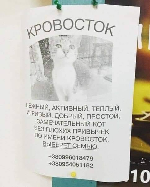 Утро после пьянки картинки