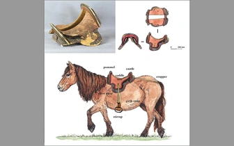 Это седло возрастом 1600 лет оказалось самым древним в мире. Угадаете, в какой стране его нашли?