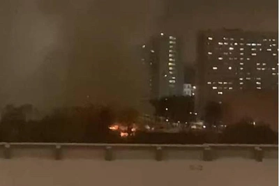 Пожар на территории Тимирязевской академии в Москве