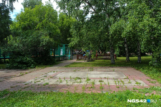 Источник: Александр Левчук / NGS42.RU 