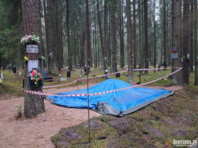 На Левашовском кладбище планируют открыть новый памятник жертвам политрепрессий | Источник: Анна Мотовилова / FONTANKA.RU