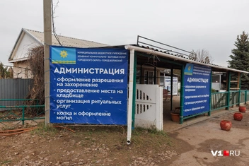 Источник: Алексей Волхонский / V1.RU