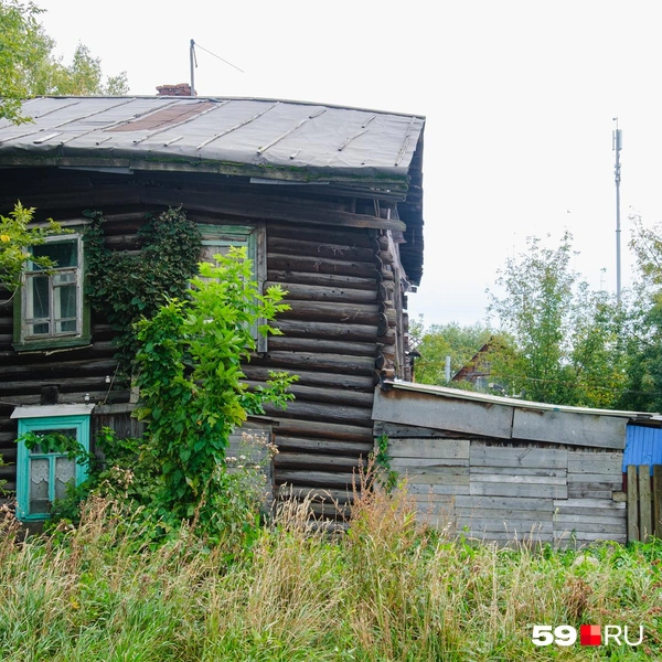 Источник: Тимофей Калмаков/ 59.RU 