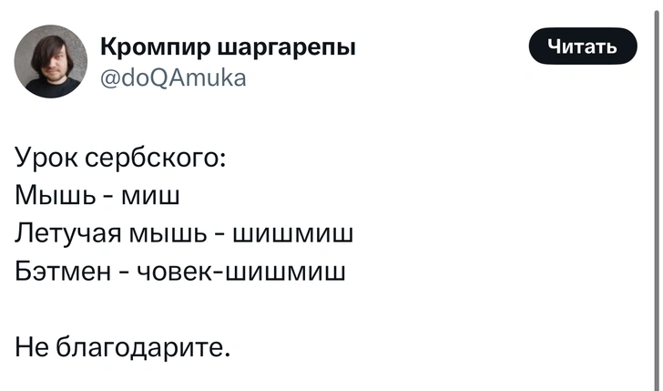 Источник: Twitter (X)