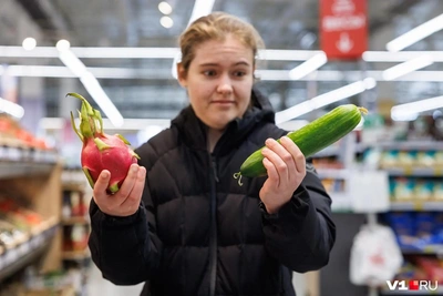 Эксперт объяснила резкий рост цен на огурцы в России