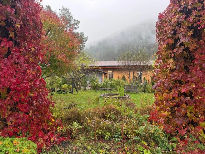 Героине потребовалось два десятка лет, чтобы превратить свою дачу в роскошный парк | Источник: Вера Фукс