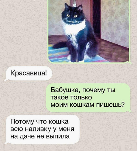 Изображение пользователя