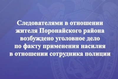 Житель Поронайского района атаковал полицейскую: возбуждено дело