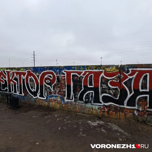 Источник: Алёна Воропаева / Voronezh1.ru