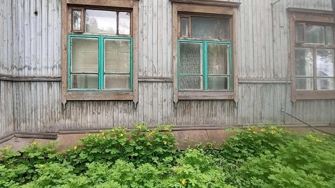 В центре города&nbsp;— деревенский пейзаж | Источник: Анна Сарапульцева /45.RU