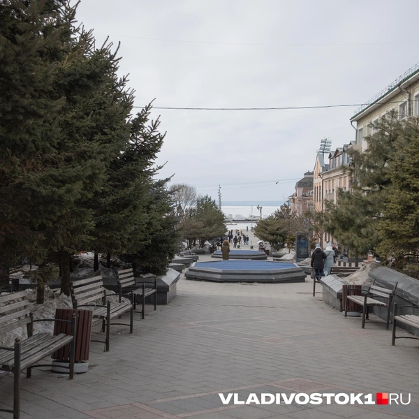 Источник: Елена Буйвол / VLADIVOSTOK1.RU