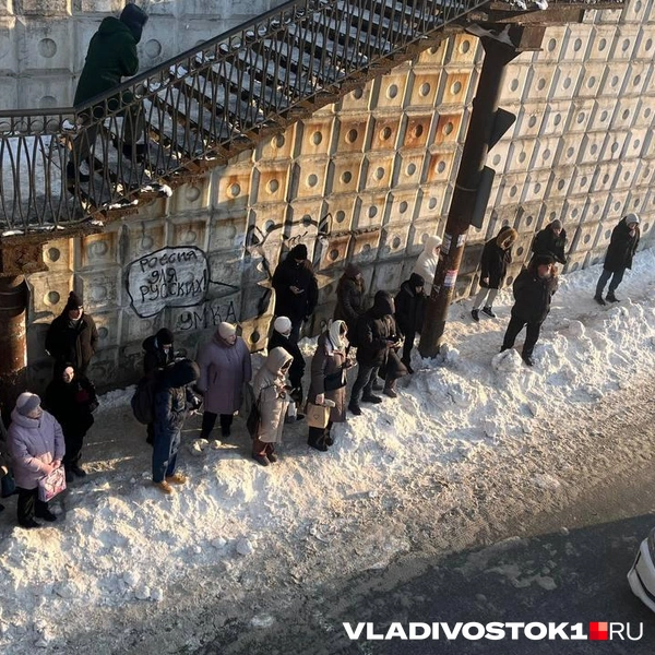 Источник: Елена Буйвол / VLADIVOSTOK1.RU