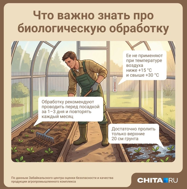 Источник: Юрий Скулыбердин / Городские медиа 