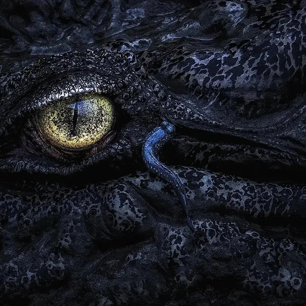Финалист в номинации «Дикая природа: другие животные» | Источник: Ramprasad Dutta / Mangrove Photography Awards 2025