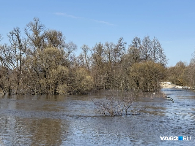 Вода продолжает наступать | Источник: Сергей Петунин / YA62.RU