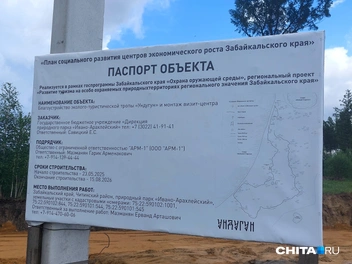 Таким будет пешеходный маршрут | Источник: Наталья Володькина / CHITA.RU