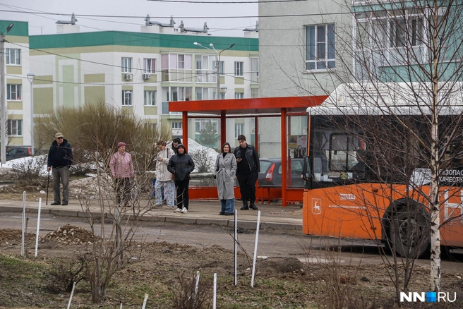 Больше всего жители жалуются на расписание и переполненность автобусов | Источник: Наталья Бурухина / NN.RU