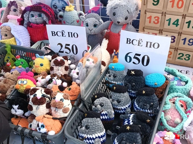 Как вам тюлени-моряки? Защитники Арктики | Источник: Мария Вершинина / 29.RU