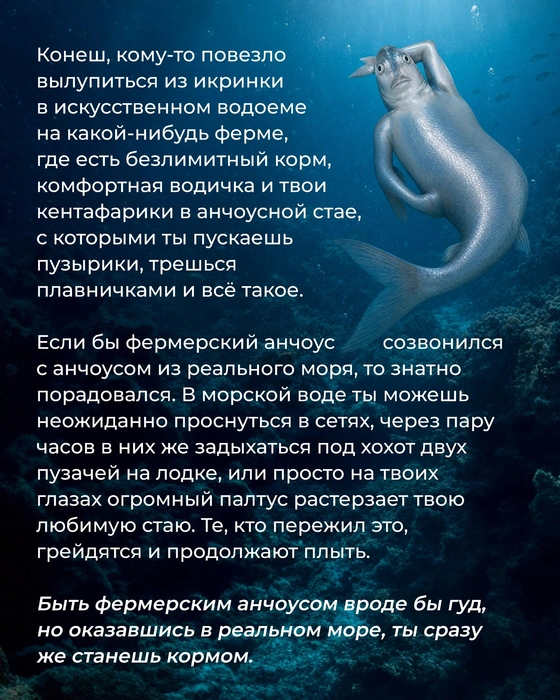 Мармеладыч предпочитает быть диким анчоусом | Источник: Marmelad_iсh / Instagram (экстремистская организация, деятельность запрещена на территории РФ)