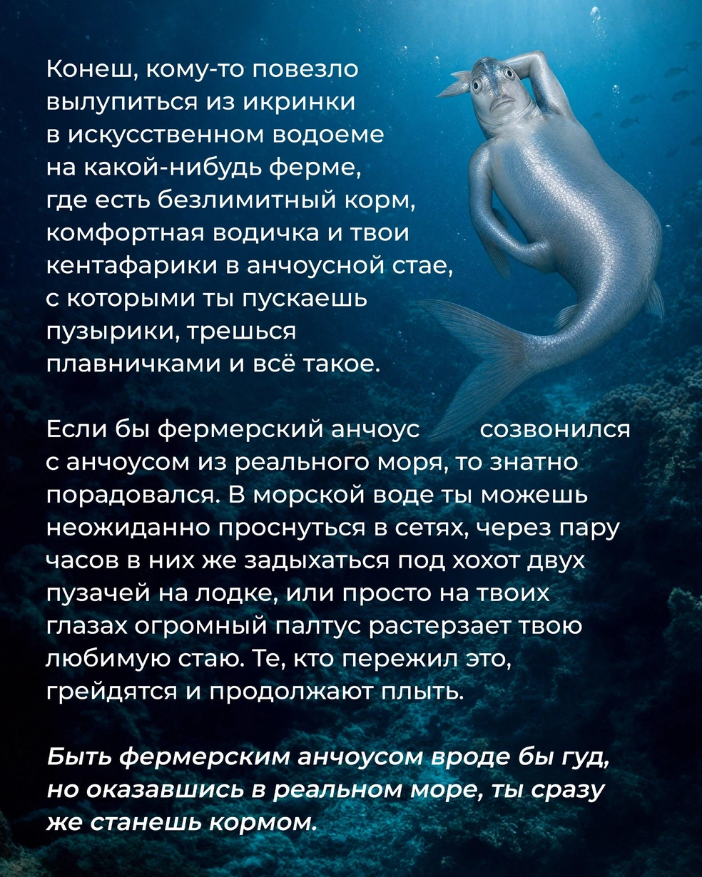 Мармеладыч предпочитает быть диким анчоусом | Источник: Marmelad_iсh / Instagram (экстремистская организация, деятельность запрещена на территории РФ)