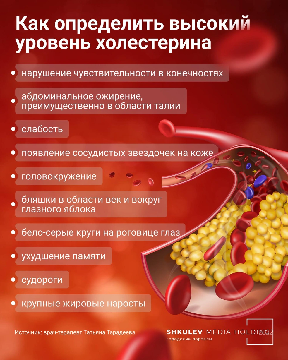 Как без врачей понять, что повышен уровень холестерина, по каким признакам  определить повышенный холестерин, как снизить уровень холестерина - 4  февраля 2024 - НГС.ру