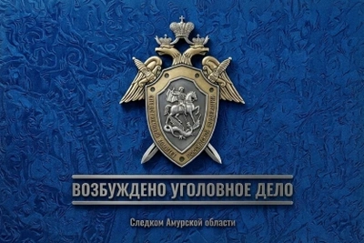 Дела об оскорблении и угрозе полицейскому возбудили в Благовещенске