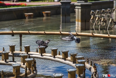 Фонтаны в Ярославле запустят в мае поэтапно