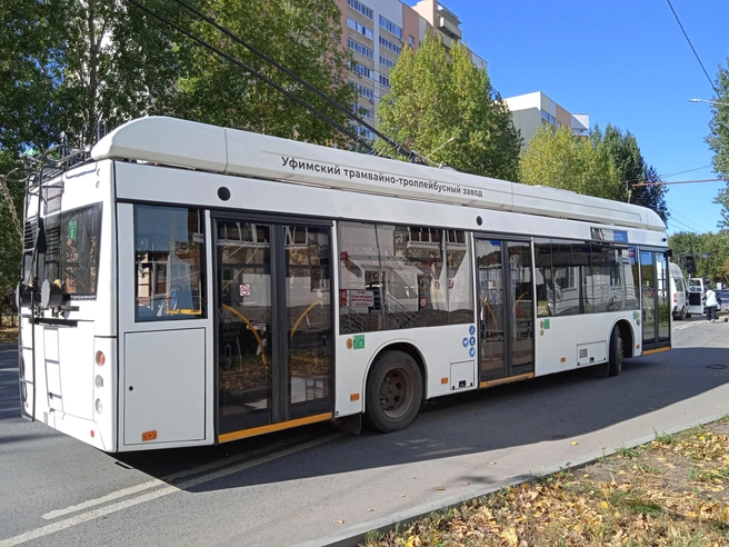 Появятся ли в городе автобусы с автономным ходом — пока неизвестно | Источник: Дмитрий Сильнов / 173. RU