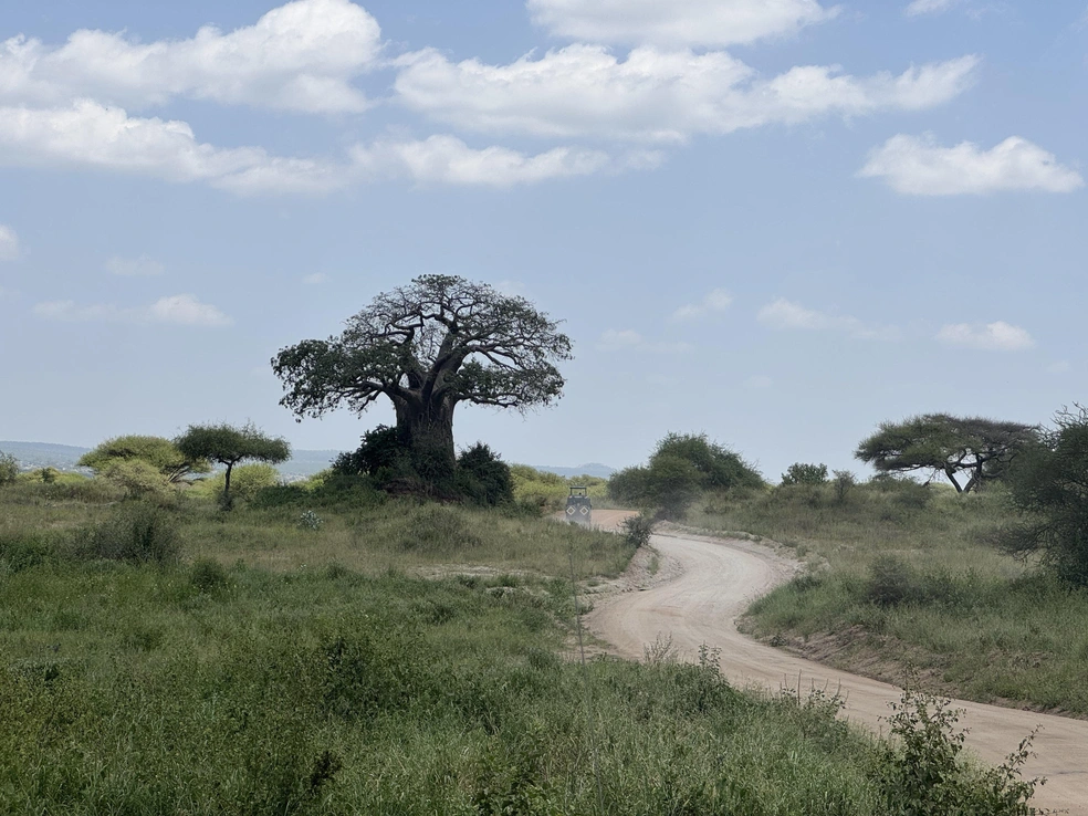 Дикая саванна&nbsp;— невероятное место | Источник: Эрдня / Личный архив