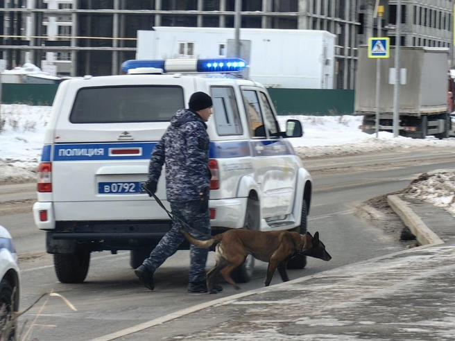 Правоохранители оперативно прибыли на место и задержали подозреваемых по горячим следам. | Источник: читатель 72.RU