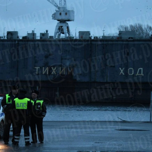 Источник: Валентин Егоршин / «Фонтанка.ру»