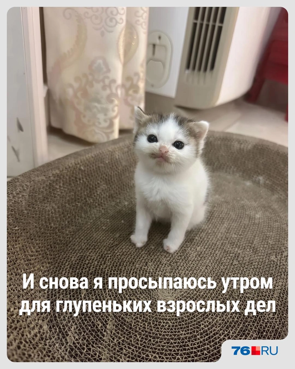 Чувствовали себя когда-нибудь как этот малыш? | Источник: Городские медиа