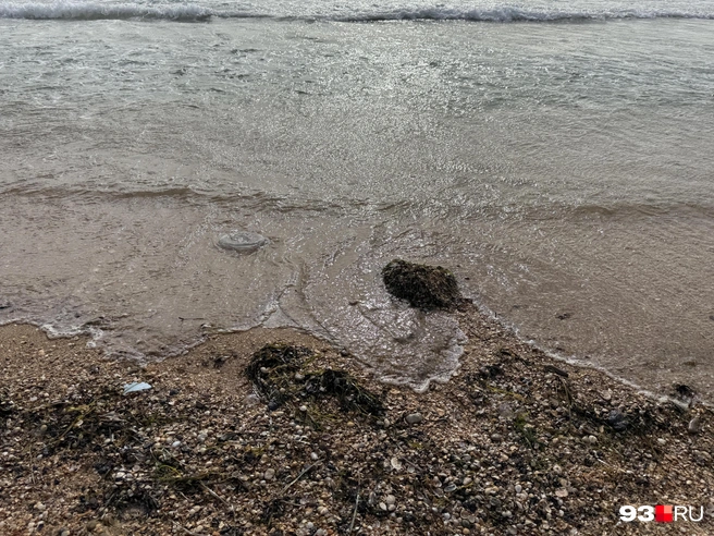 Чаще всего мазут выбрасывает небольшими пятнами | Источник: Валерия Дульская / 93.RU
