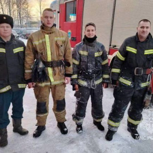 Источник: ГУ МЧС по Ленинградской области