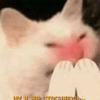 Аватарка Мария Прядко