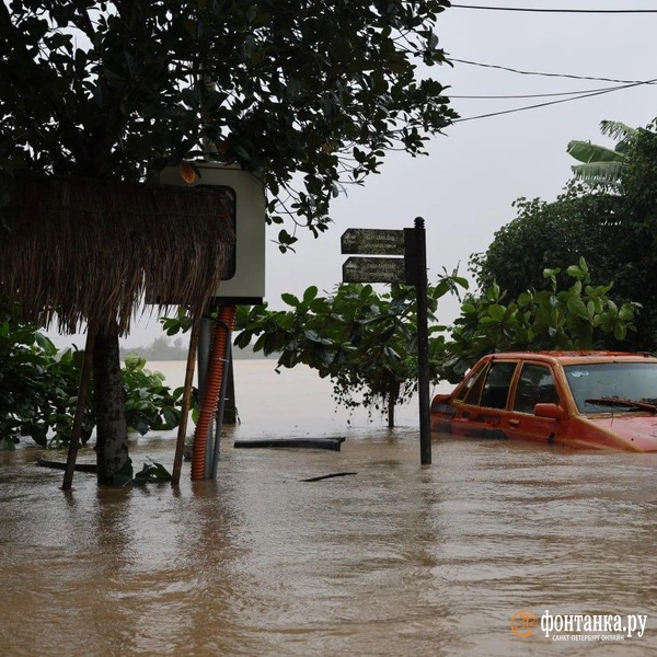Источник: Павел Каравашкин / «Фонтанка.ру»