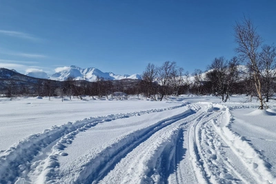 Трагедия на Камчатке: разделение группы туристов и гибель