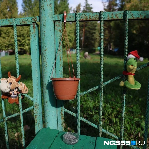 Как можно оставить пепельницу на детской площадке? | Источник: Евгений Софийчук / NGS55.RU