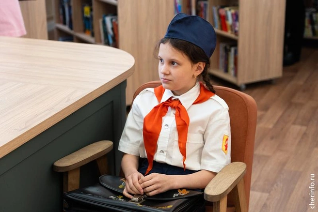 Источник: st.cherinfo.ru