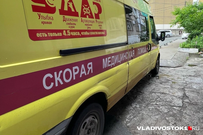 С тяжелыми травмами мальчика доставили в краевую клиническую больницу | Источник: Елена Буйвол / VLADIVOSTOK1.RU