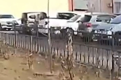 Дикая косуля пробежала по Свободному