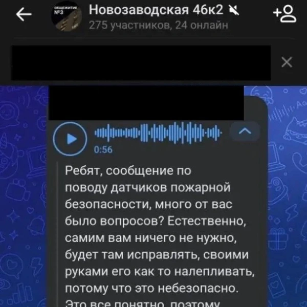 Фрагменты переписки из чата предоставили студенты ЗабГУ | Источник: Очевидец